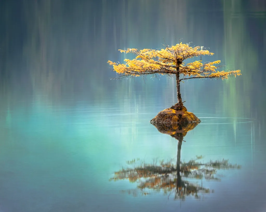 zen reflection meditation practice